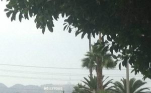 Distant photo featuring the Hollywood sign with greenery in closer focus