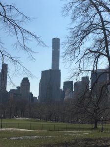 New York City from a park in spring