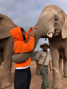 Being hugged by an elephant in Western Cape Town, 2019.