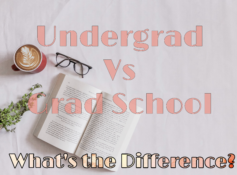 Undergrad vs Grad School  Whats the Difference? 